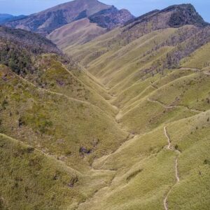 Dzukou Valley Trek in Nagalalnd