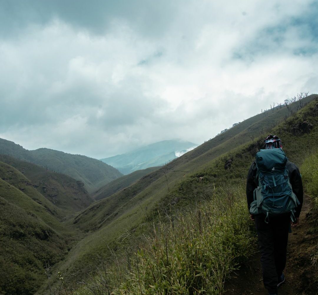 Trek to Dzukou Valley Nagaland