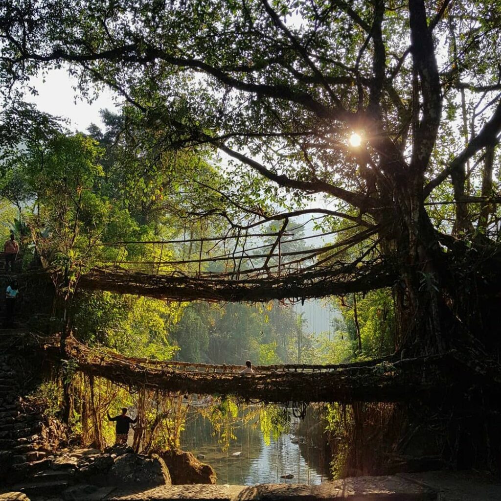 Double Decker living Root Bridge in Nongriat Meghalaya