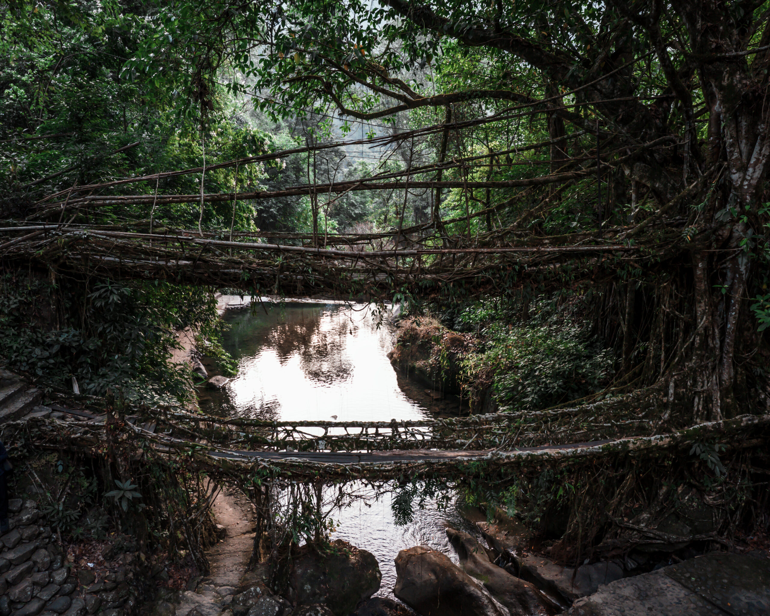 Double Decker Living root bridge in Nongriat Meghalaya