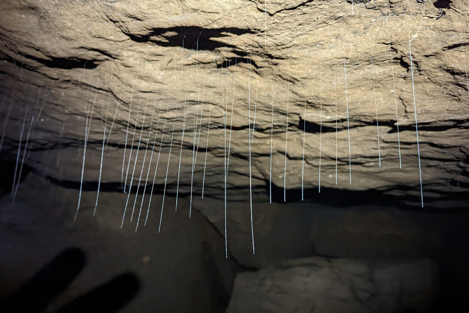 Stalactite and Stalagmite formation in Krem Mawpun, learn more about nature with the ChaloHoppo short escape.