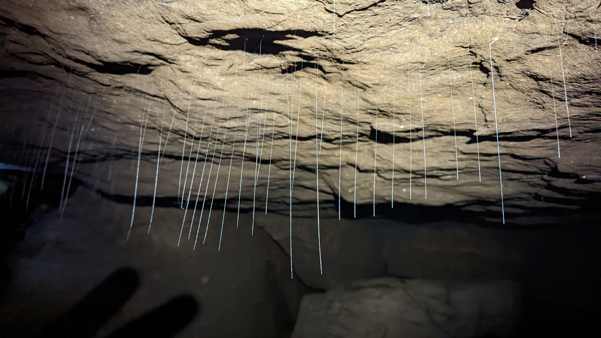 Stalactite and Stalagmite formation in Krem Mawpun, learn more about nature with the ChaloHoppo short escape.