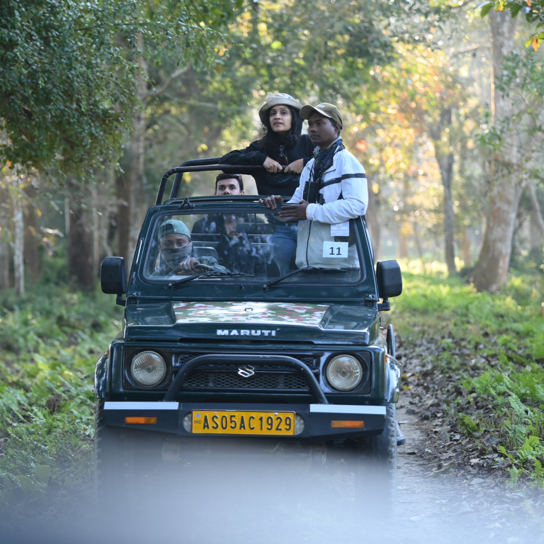 Get Up Close and Personal with Kaziranga's Wildlife on a Jeep Safari