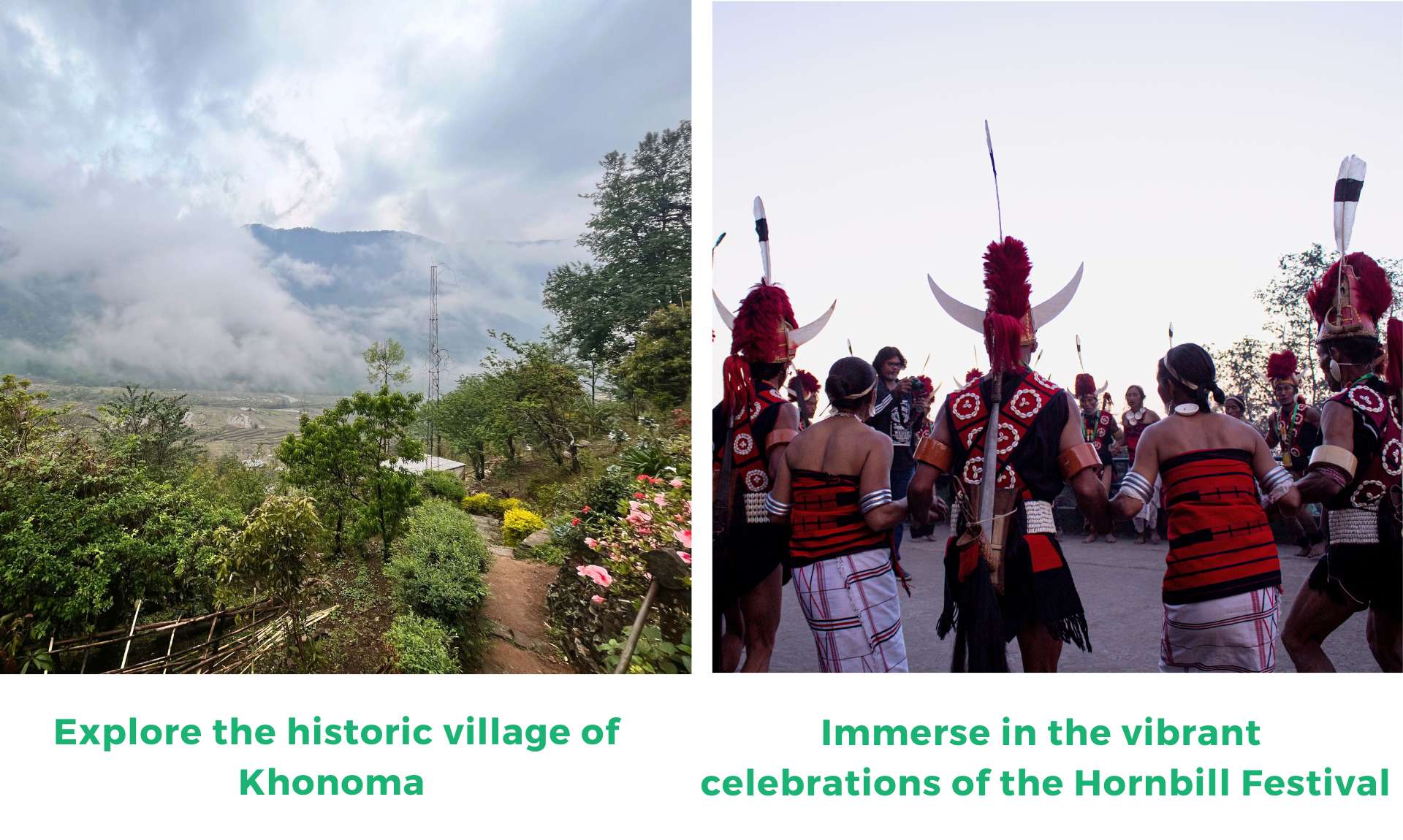 Immerse in the vibrant celebrations of the Hornbill Festival