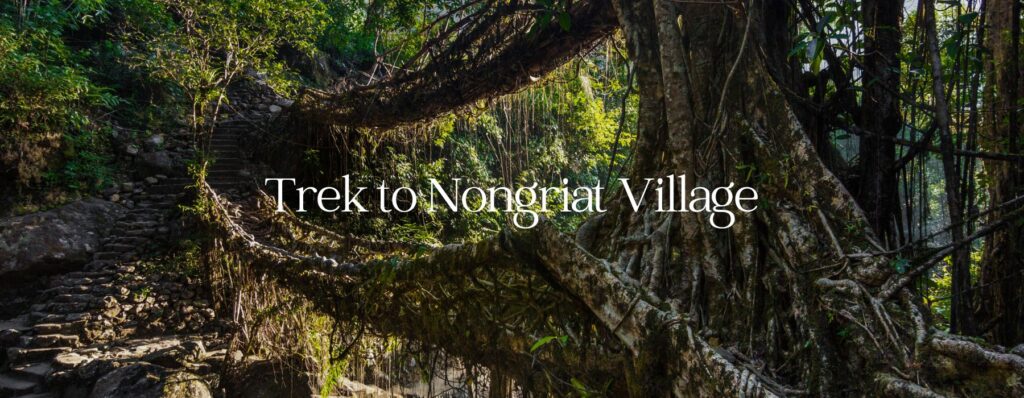 Trek to Nongriat Village