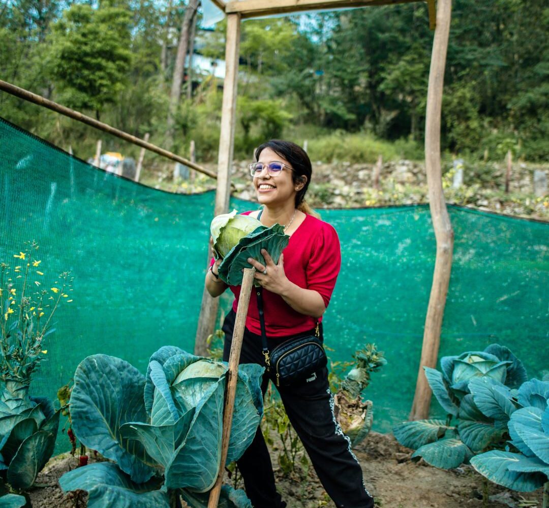 Cabbages of Khonoma: Asia's first green village