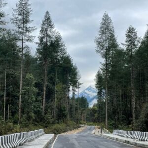Eastern Arunachal Pradesh- Road to Anini