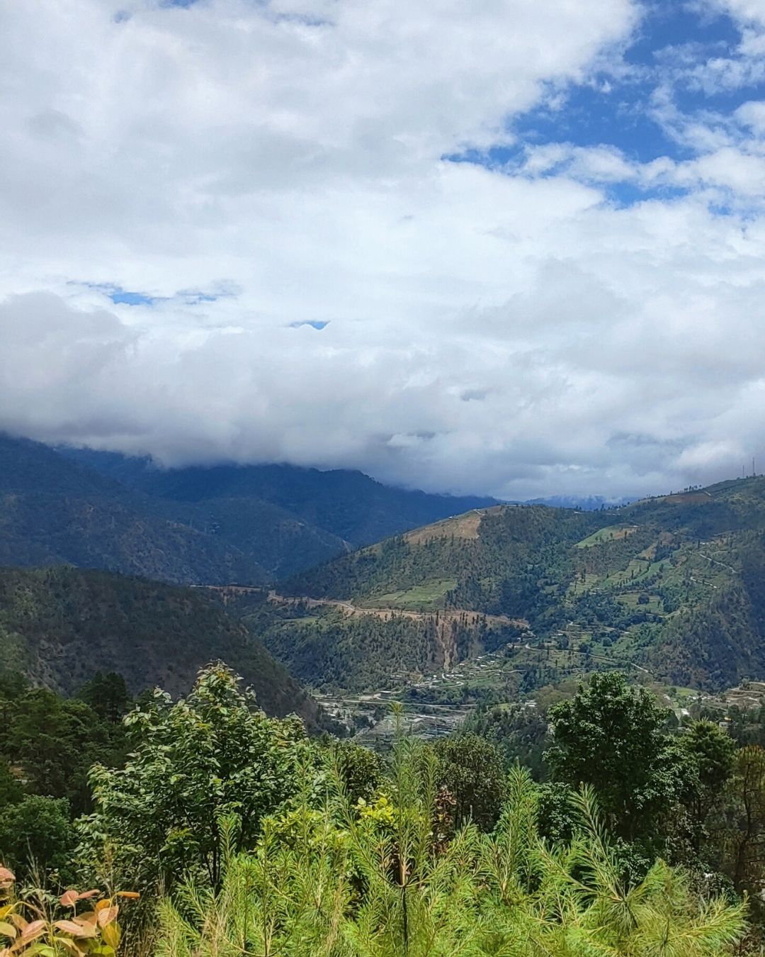 Eaglenest bird sanctuary – rich habitat for hornbills and flycatchers