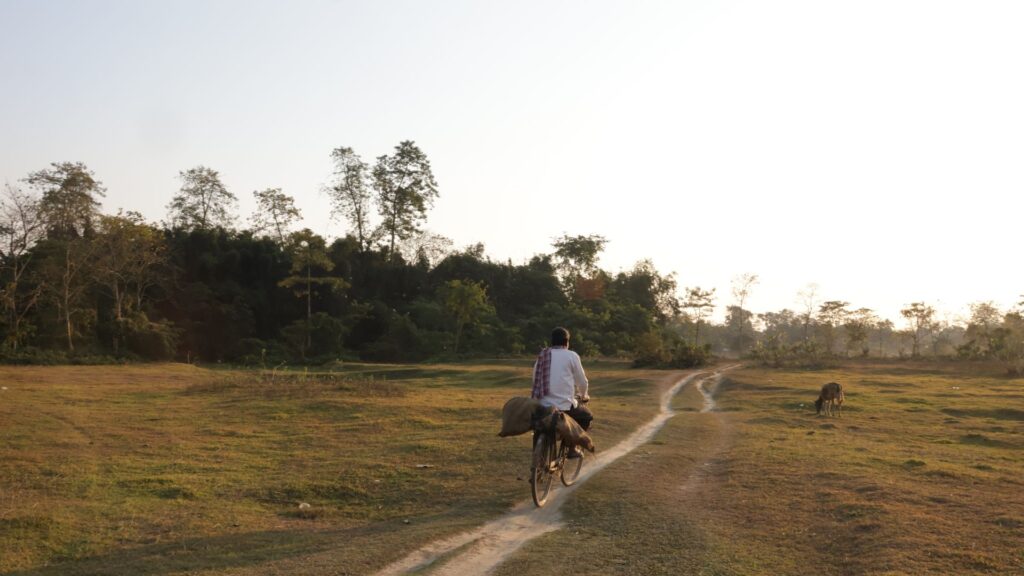 Man riding a bicycle along a dusty village trail at sunset.