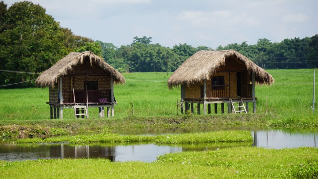 Two stilted bamboo huts with thatched roofs in lush green fields.