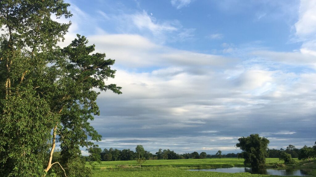 Wide view of green fields and cloudy sky with scattered trees.