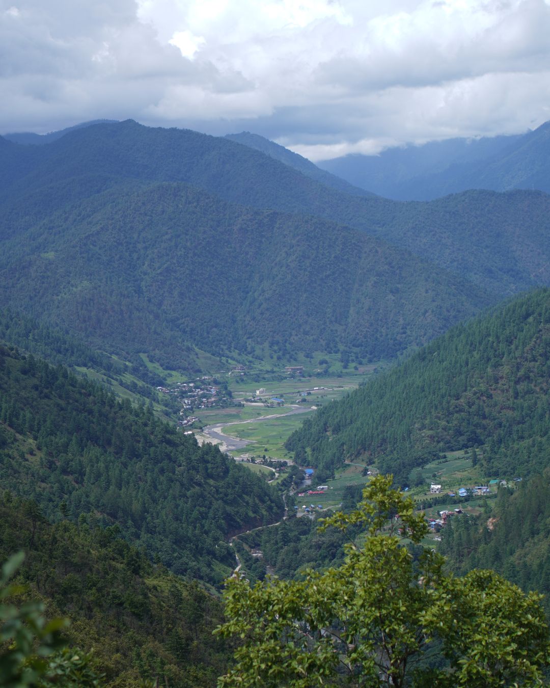 Scenic mountain road leading to Zimthung Village in Arunachal Pradesh .