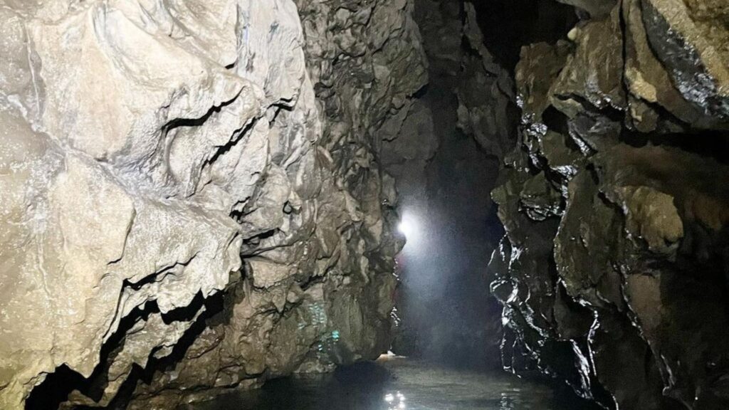 Cave entrance opening to forest