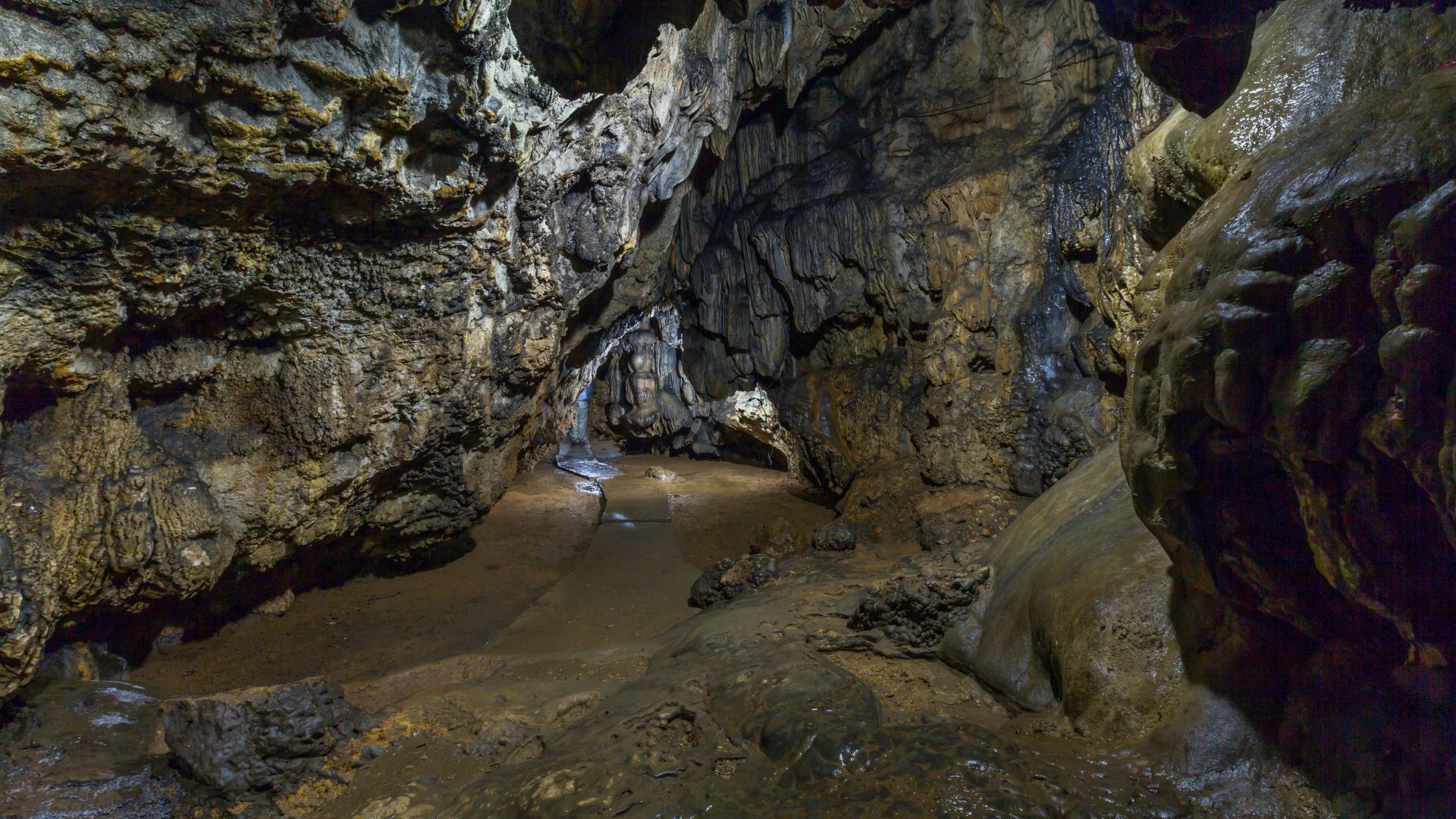 Limestone formations inside Mawsmai Cave in Meghalaya