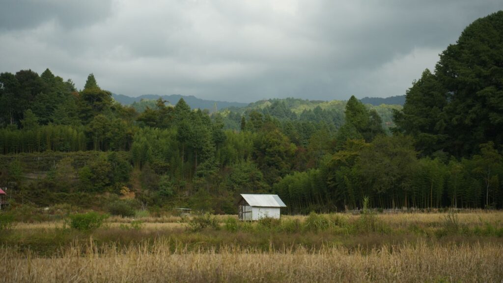 White hut in field under clouds