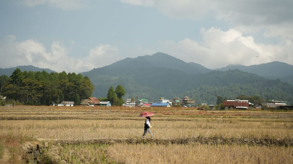 Woman walking through golden harvested field