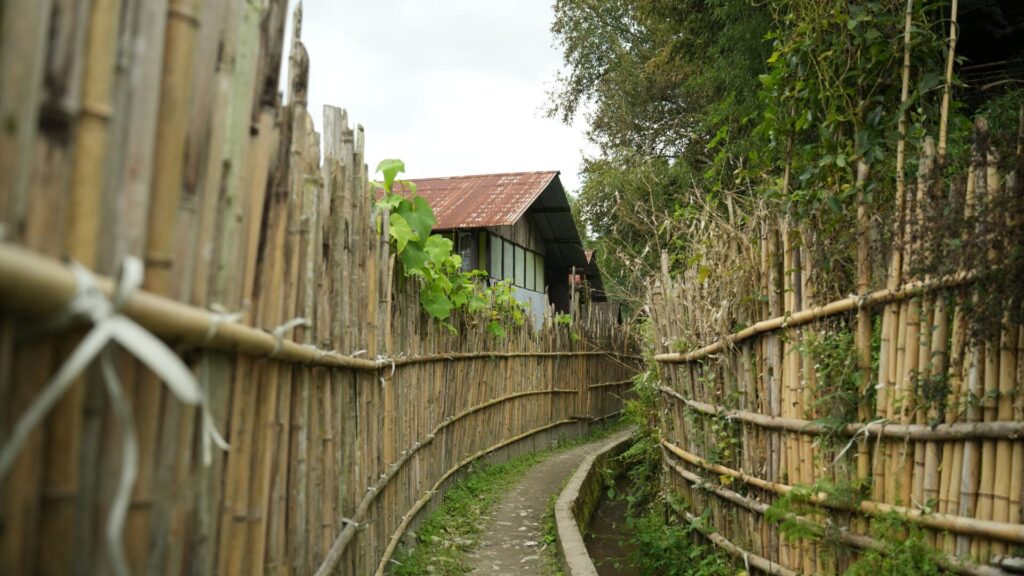 Narrow bamboo-fenced path through village.