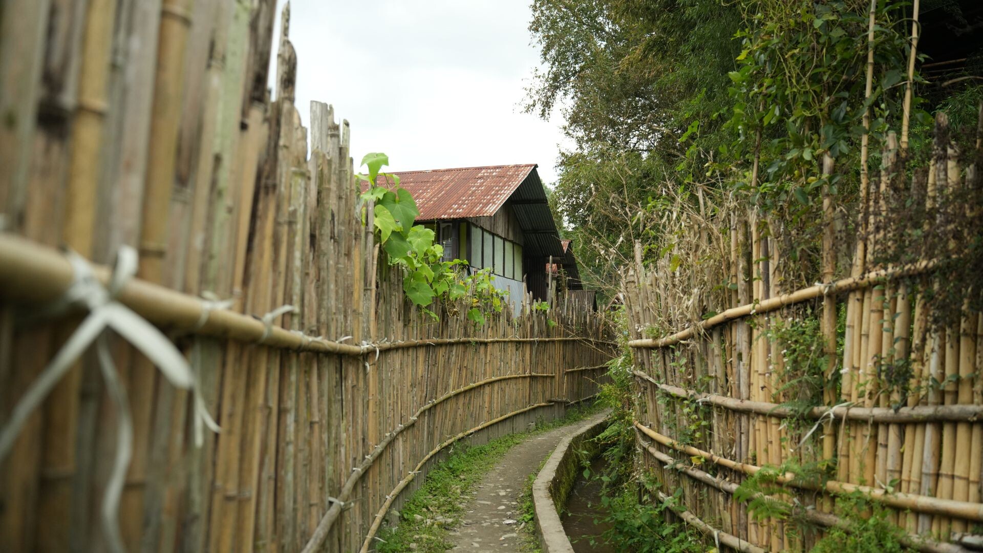 Everyday life in Ziro Valley among the Apatani community