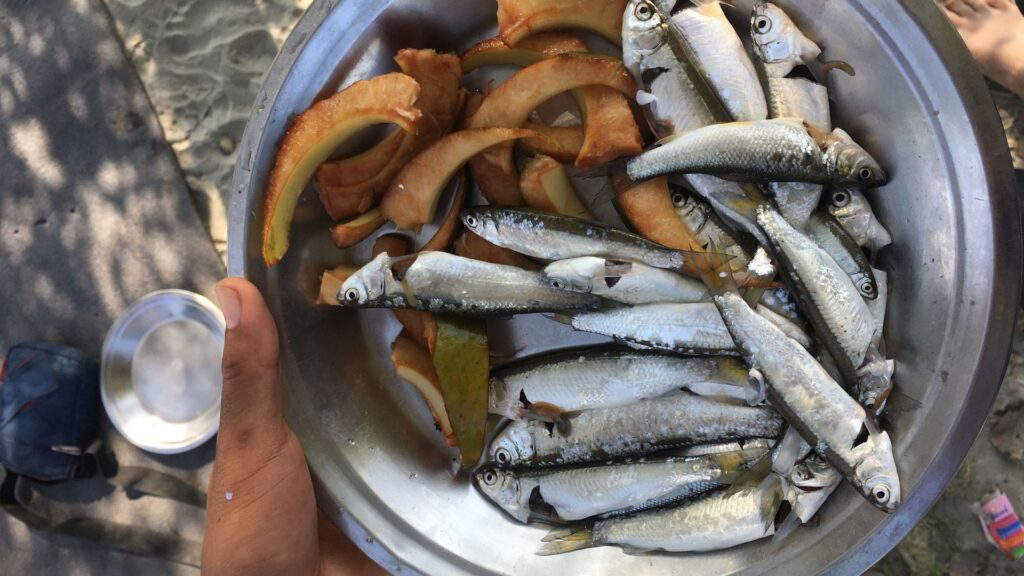 Bowl of small river fish