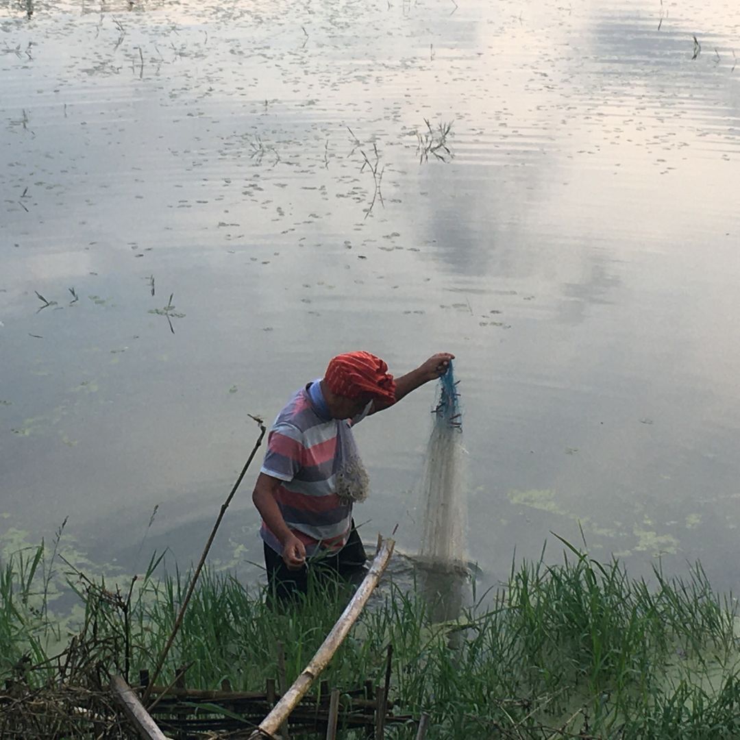 Fisherman pulling a net in a lake