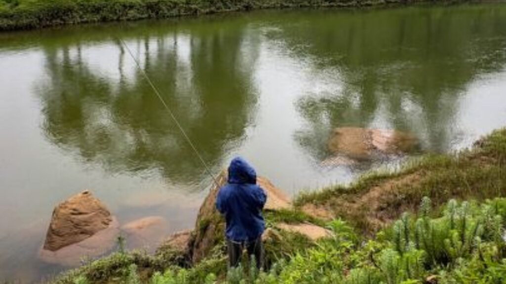 Fishing by a still green pond