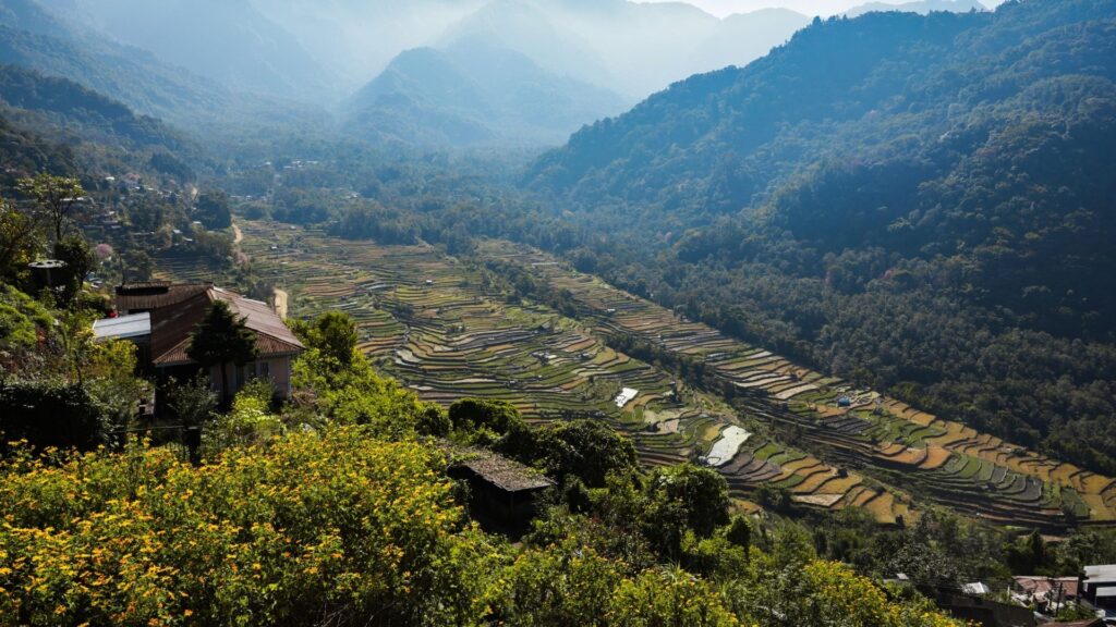 erraced fields and forested valley in Arunachal Pradesh hills in Nagaland