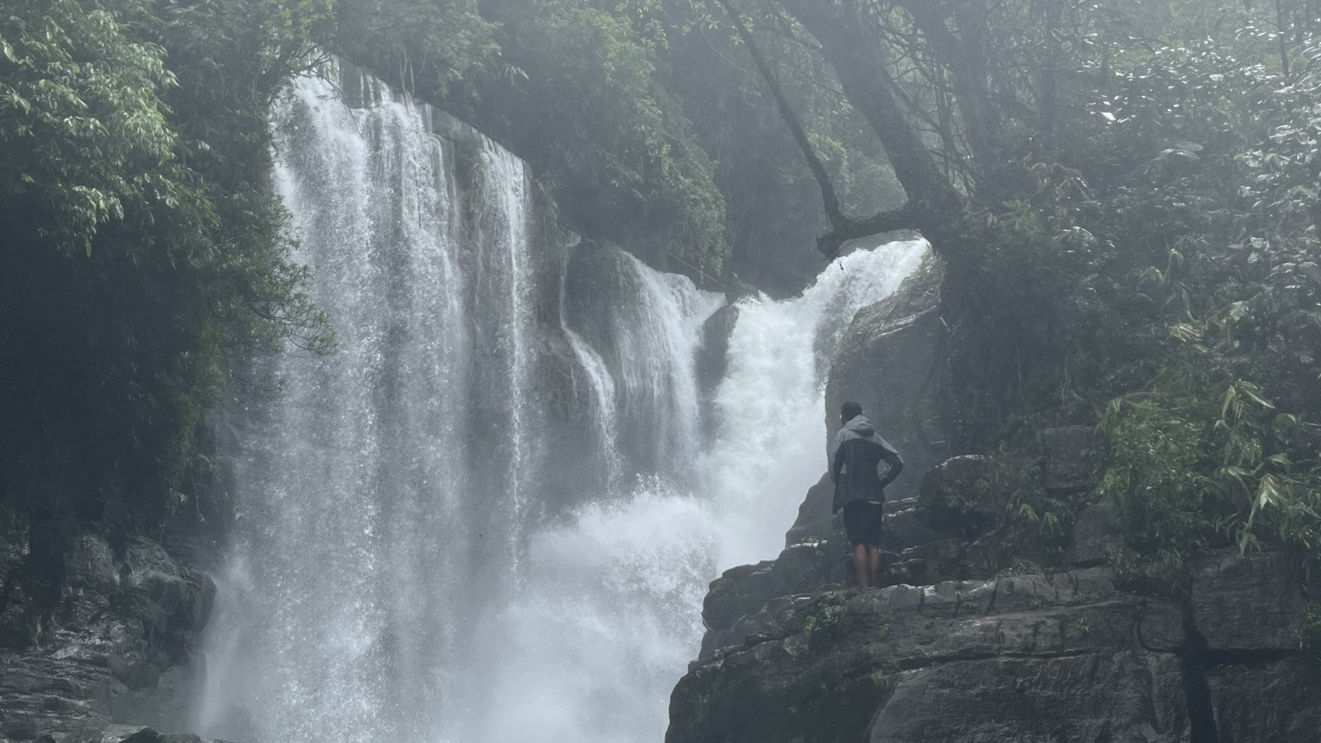 Trails of the living hills