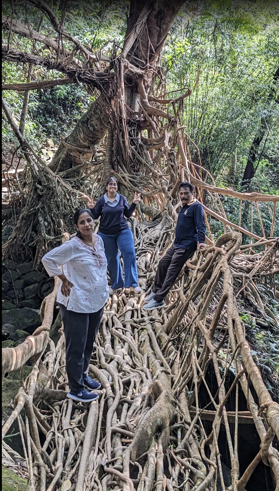 Bhramara Srinivas review