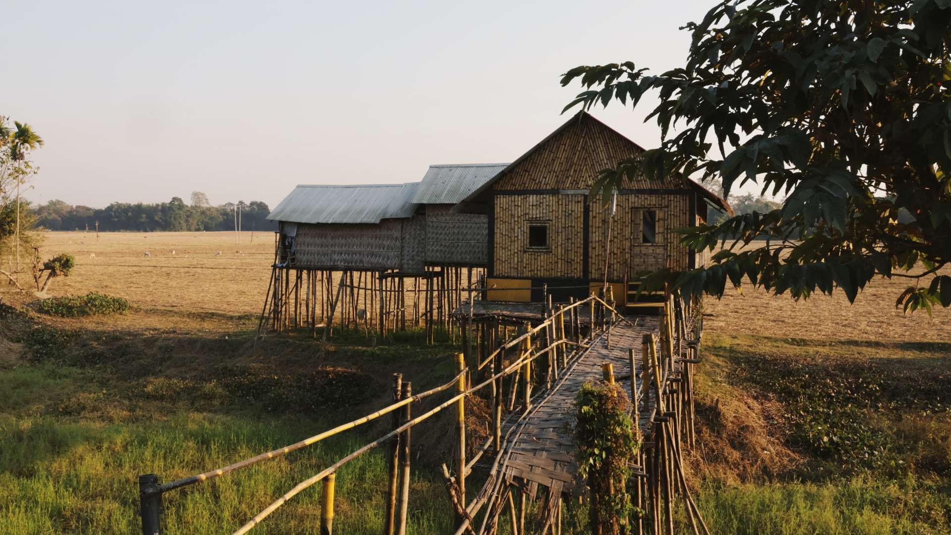 Chang ghar in Majuli with walls and base made from bamboo