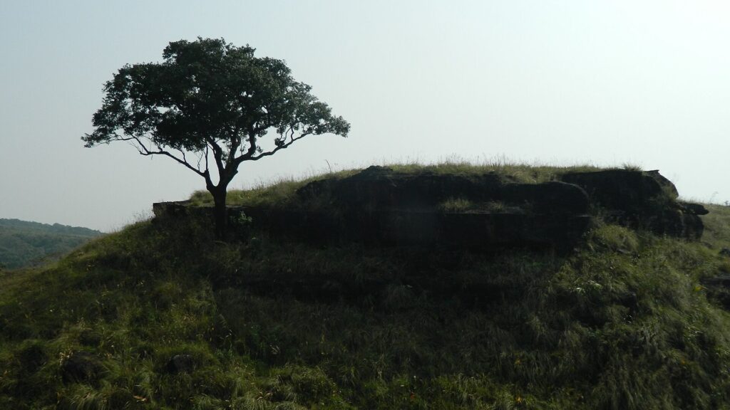 Balpakram National Park