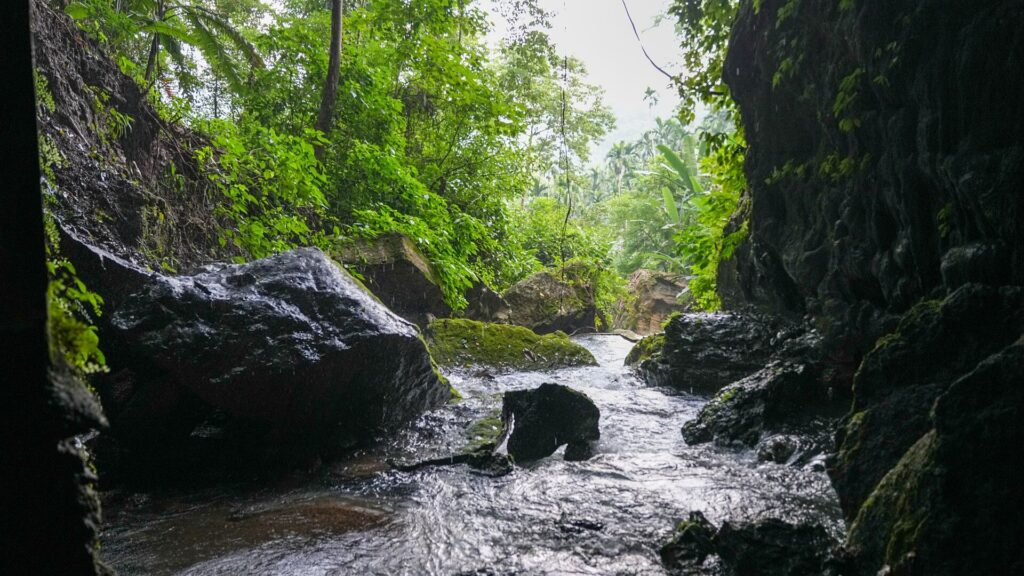 Siju Caves
