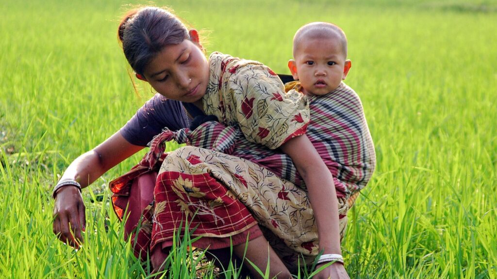 Garo mother with child in paddy field