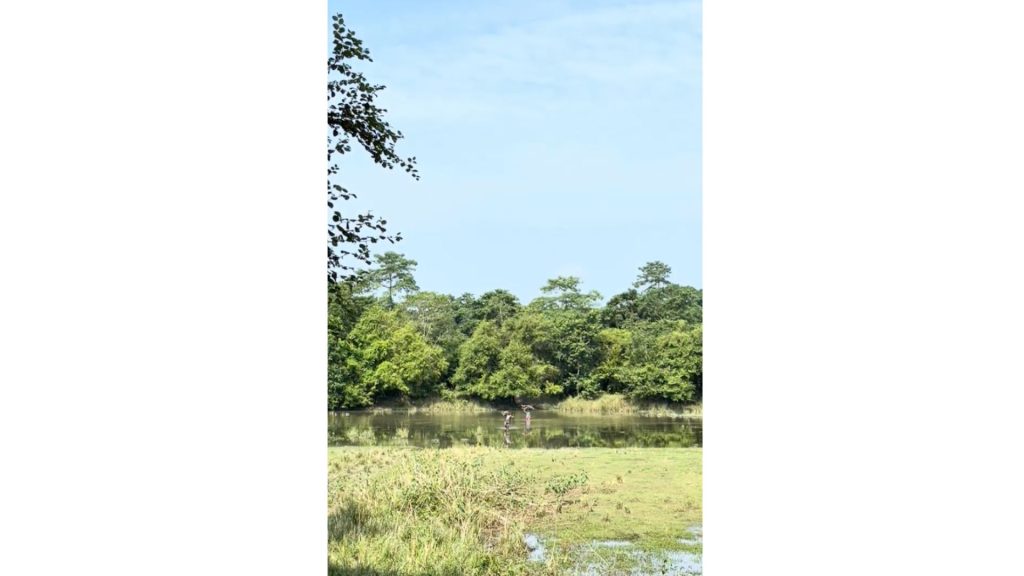 Women working on wetlands in Majuli