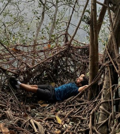Meghalaya root bridge