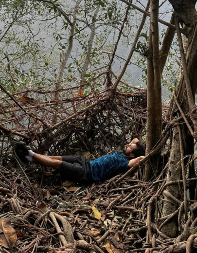Meghalaya root bridge